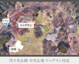 代々木公園　ドッグラン